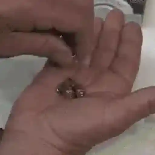 BALA PERDIDA  6