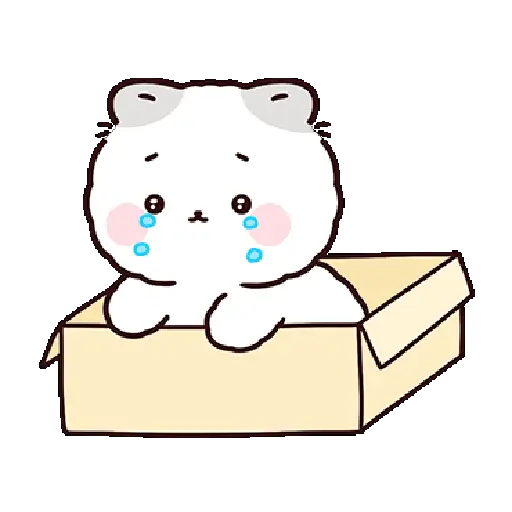 Gatos cute 😽 ฅ⁠^⁠•⁠ﻌ⁠•⁠^⁠ฅ 5