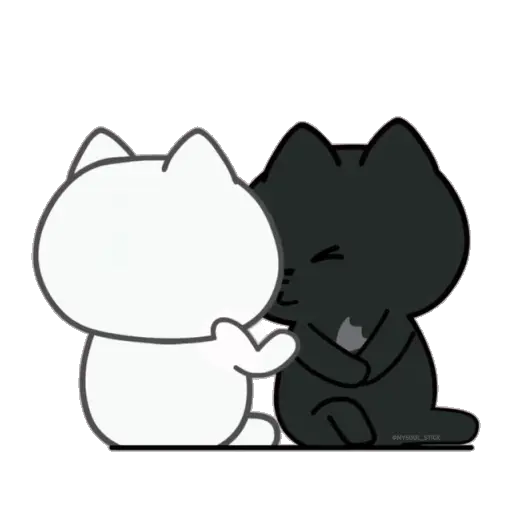 ❤️ Amor Parejitas de Gatos 😻❤️ 10