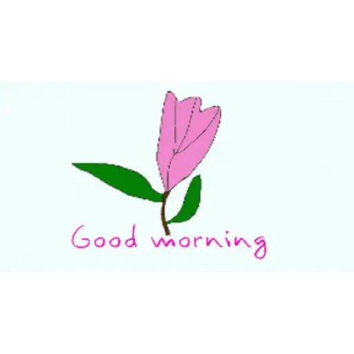 Good morning 8