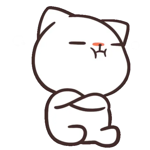 ✨ Gato funny ฅ⁠^⁠•⁠ﻌ⁠•⁠^⁠ฅ 15