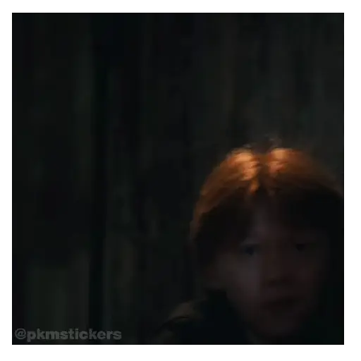 Harry Potter I 🧙🪄 17