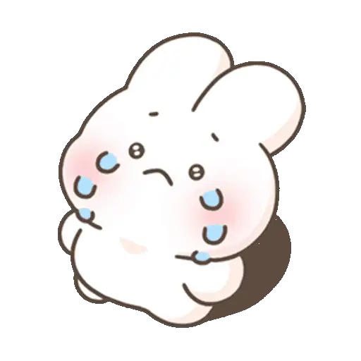 🐰 Conejo Chubby Cute3 🩷🥕 5
