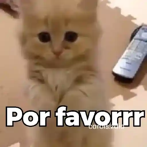 👉🏻👈🏻 Por favor Please 🥺 6