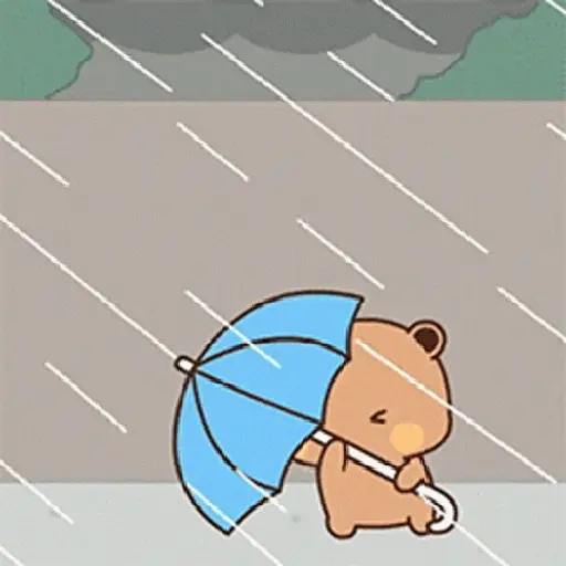 Memes Lluvia ⛈️ 16