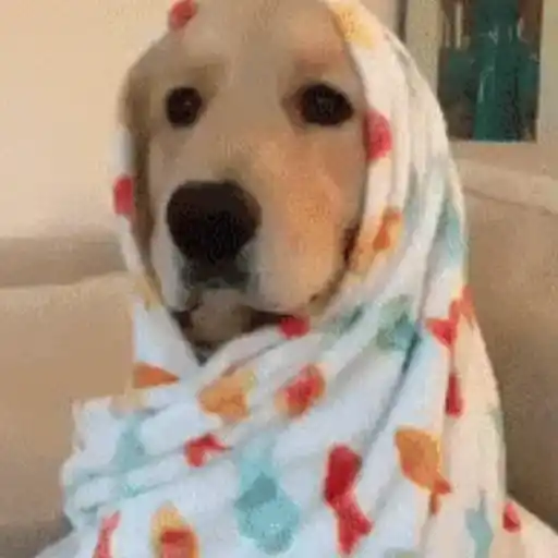 FRIO  3