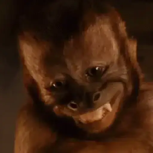 🐒 Monos Risas Meme 🙊🤣 XDXD 12