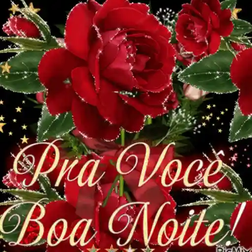 Boa noite 14