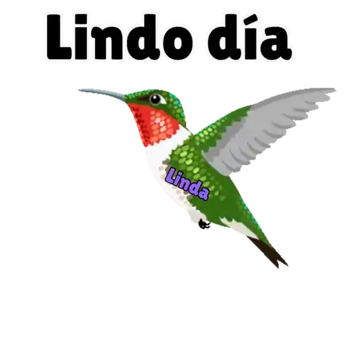 Axy Linda 26-13 9