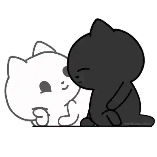 ❤️ Amor Parejitas de Gatos 😻❤️ 12