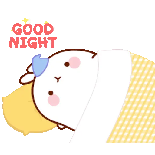🐰 Conejo Molang Bunny🐰🥕 19