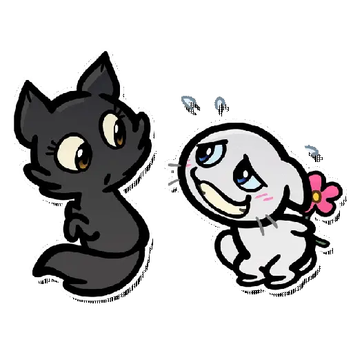 Créu Cat  Gato negro 🐈‍⬛📲 8