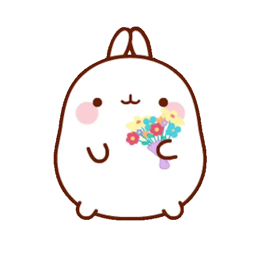 🐰 Conejo Molang Bunny🐰🥕 21