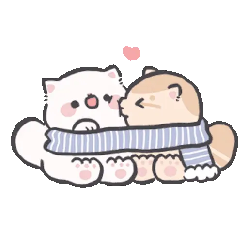 Gatito blanco 😸🤍 fluffy 🩷 12