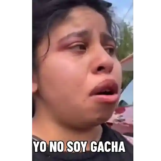 Memes  1