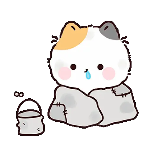 Gatos cute 😽 ฅ⁠^⁠•⁠ﻌ⁠•⁠^⁠ฅ 6