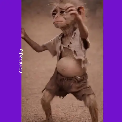 🐒 Mono Bailecito Tiktok 🐒 8