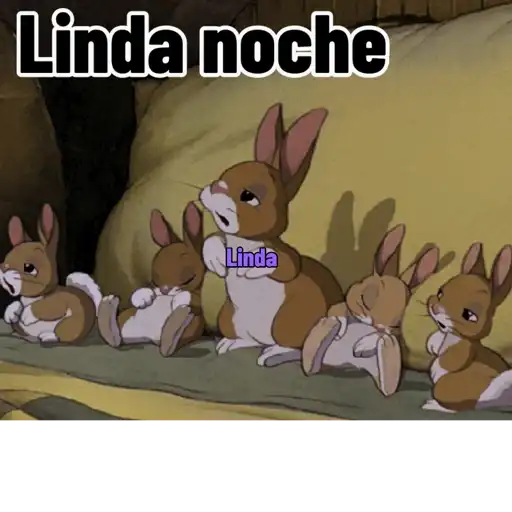 Axy Linda 26-13 4