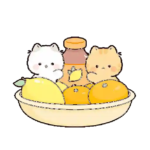 Gatos cute 😽 ฅ⁠^⁠•⁠ﻌ⁠•⁠^⁠ฅ 11