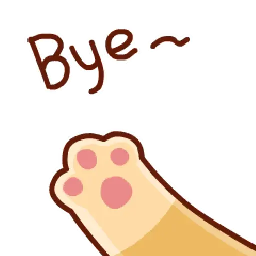 Bye bye 👋🏻👋🏻 Adiós 17
