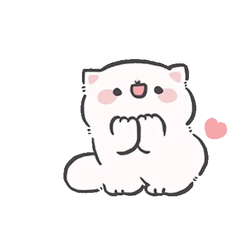 Gatito blanco 😸🤍 fluffy 🩷 11