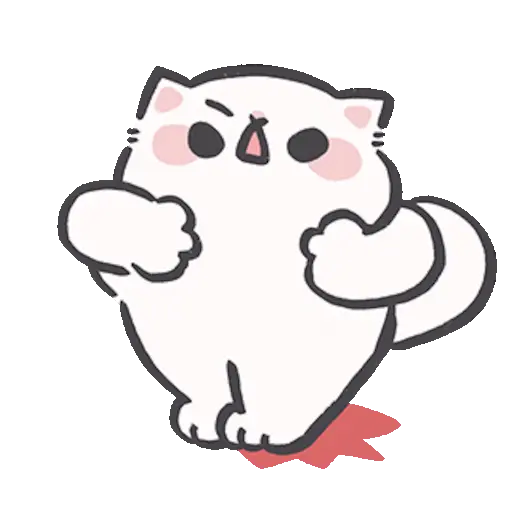 Gatito blanco 😸🤍 fluffy 🩷 15