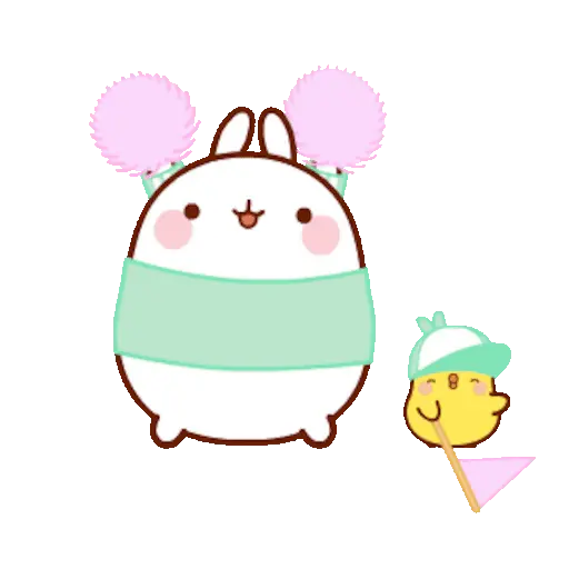 🐰 Conejo Molang Bunny🐰🥕 12