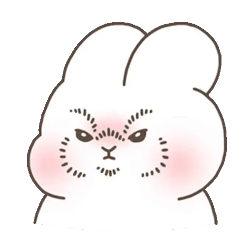 🐇Conejo Chubby Cuteness4🐰🩷🥕 4