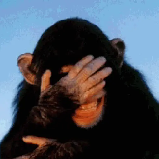🐒 Monos Risas Meme 🙊🤣 XDXD 6