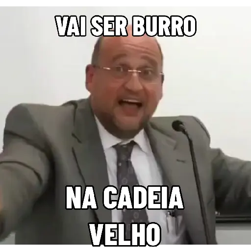 Animadas 7