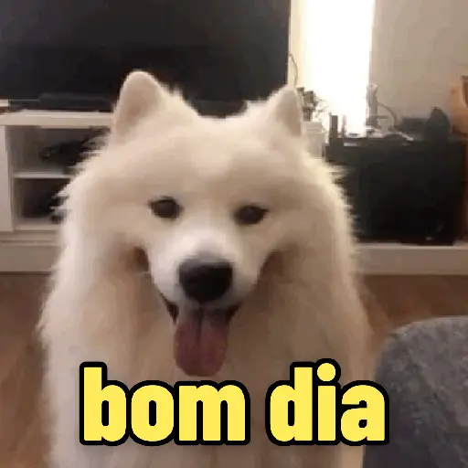 Memes e reações 😂 1