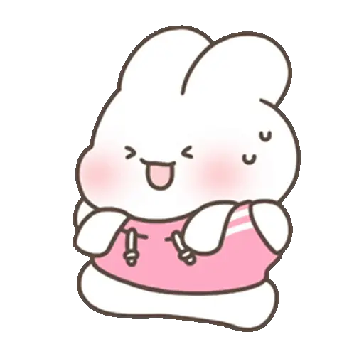 🐰 Conejo Chubby Cute3 🩷🥕 11