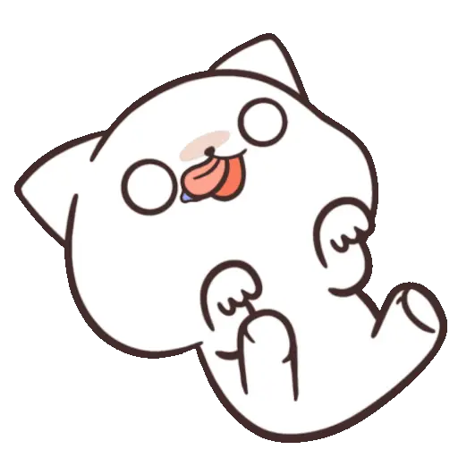 ✨ Gato funny ฅ⁠^⁠•⁠ﻌ⁠•⁠^⁠ฅ 13