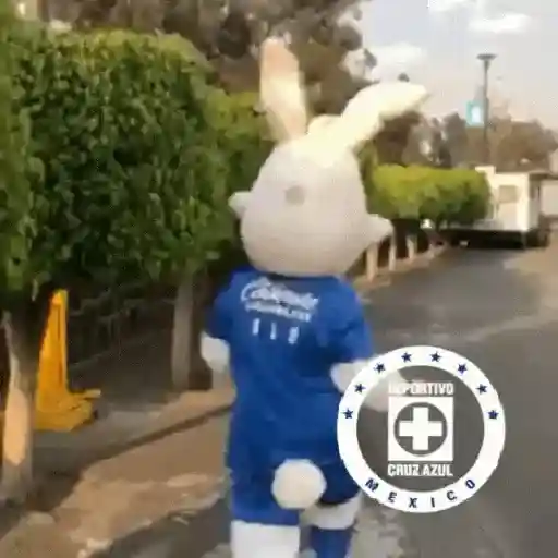 Cruz Azul 💙 16