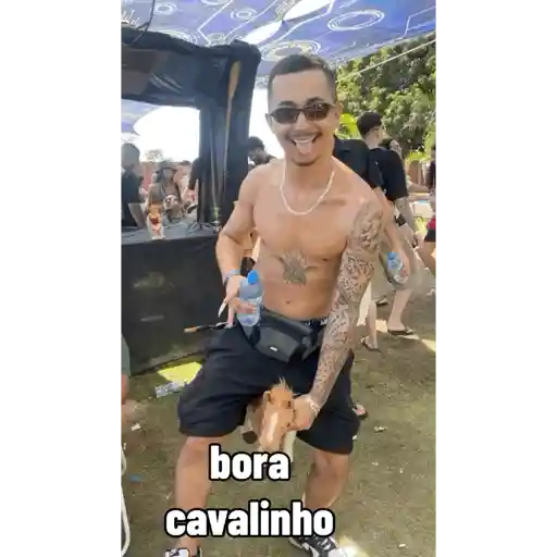 Zoeira 4