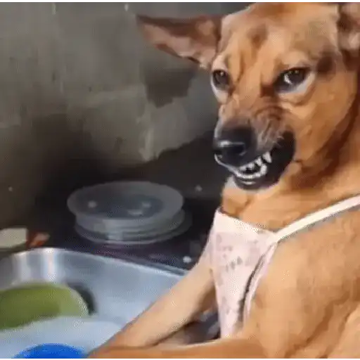 🔥📱 TIKTOK VIRAL 📱🔥 7