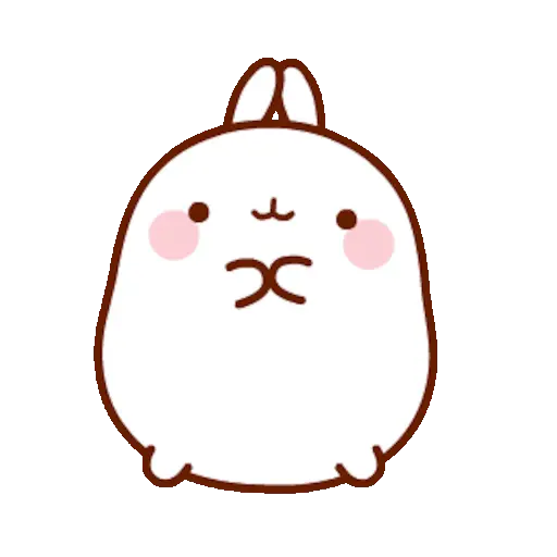 🐰 Conejo Molang Bunny🐰🥕 2