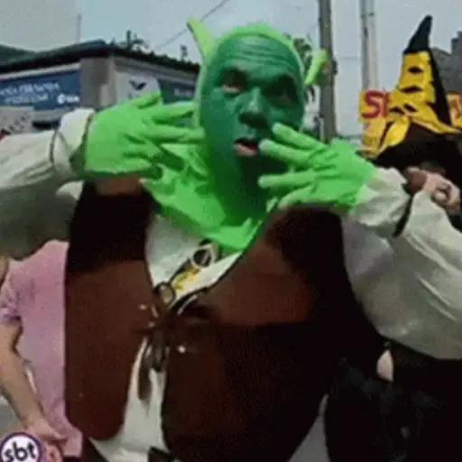 É carnaval 13