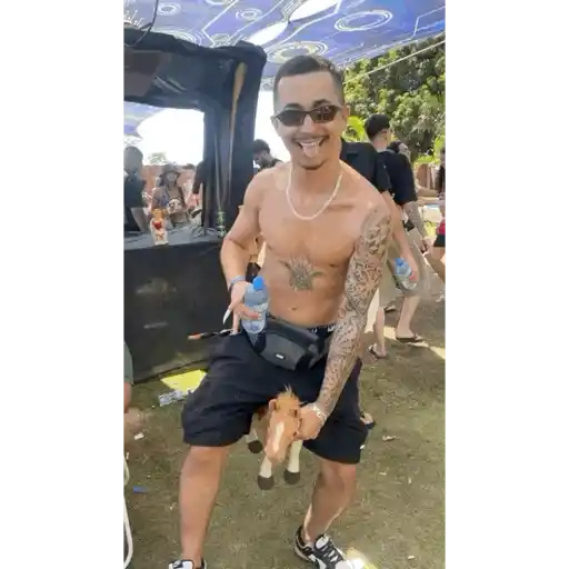 Zoeira 3