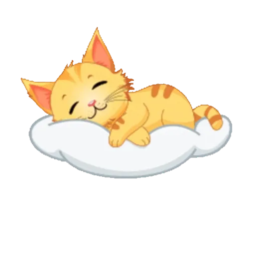 Boa noite 5