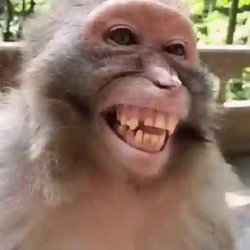 Risas 🤣 Meme XD 🤣🤣 3