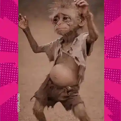 🐒 Mono Bailecito Tiktok 🐒 4