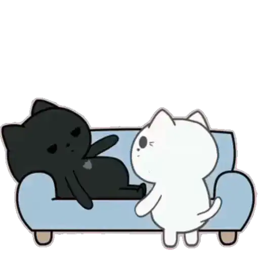 ❤️ Amor Parejitas de Gatos 😻❤️ 13