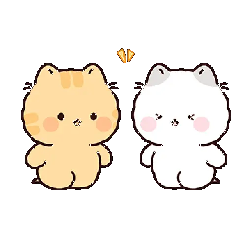 Gatos cute 😽 ฅ⁠^⁠•⁠ﻌ⁠•⁠^⁠ฅ 14