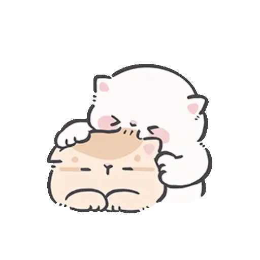 Gatito blanco 😸🤍 fluffy 🩷 13