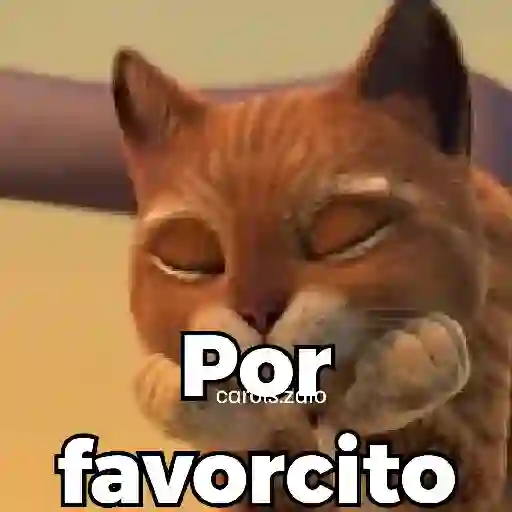 👉🏻👈🏻 Por favor Please 🥺 11