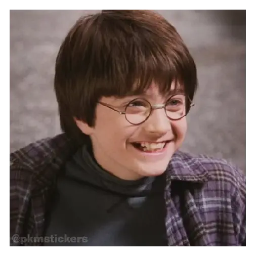 Harry Potter I 🧙🪄 1