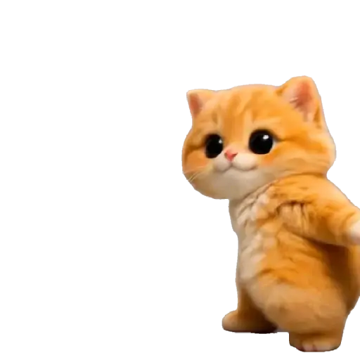 Gatito Bailando 💃🎶 4