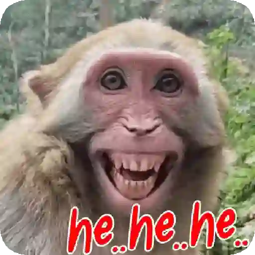 🐒 Monos Risas Meme 🙊🤣 XDXD 8