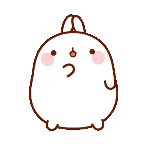 🐰 Conejo Molang Bunny🐰🥕 11